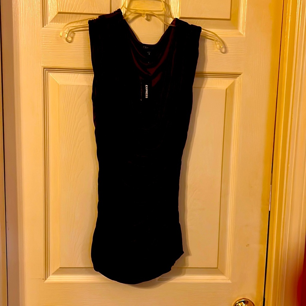 Express Maroon Top.